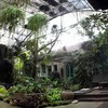 บ้านก้ามปู Bankampu Tropical Cafe