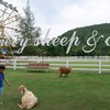 The Scenery Vintage Farm
