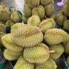 ทุเรียนหมอนทอง เกรดพรีเมียม ทุเรียนคัดพิเศษทุกลูก รับประกันเนื้อ เจออ่อนเปลี่ยนใ
