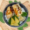 Salmon Teri Don Salmon Teri Don