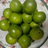 สดจัง