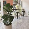 Phil Coffee Company