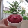 Mixed Berry Sorbet Ice-cream รสเปรี้ยวนำและหวานตาม ใครสายเปรี้ยวโดนใจแน่นอน