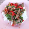 เมนูกะเพราเป็ด รสชาติสูสีกับกะเพราขาหมู อร่อยไม่แพ้กันเลยครับ