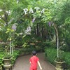 PATA PLANTATION