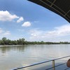 เรือนร่มไทร