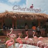 Cha' mingo ถนนข้าวหลาม