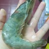กุ้งของทางร้าน เท้าฝ่ามือกันเลย