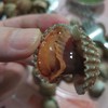 สด ใหญ่ สะอาด