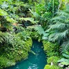 Rainforest Cafe Kanchanaburi