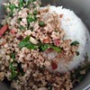 ข้าวกะเพราป่าคั่วไฟแดงหมู