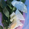 ฟรี