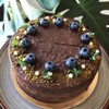 Into the wild chocolate cake