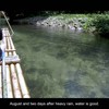 Rafting