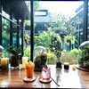 เครื่องดื่ม