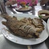 กระพงทอดน้ำปลา