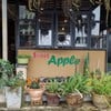 ภาพหน้าร้าน ร้านเล็กบรรยากาศ​ดี
