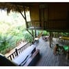 บ้านต้นไม้