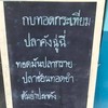 กบทอดท่ามะกา