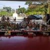 ร้านขายของ