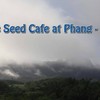 Seed Cafe