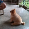 น้องน่ารัก มานั่งเฝ้า