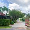บรรยากาศร้านร่มรื่น