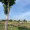 บรรยากาศนอกร้าน