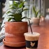 ice espresso