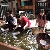 กิจกรรมร่อนทองของจริง