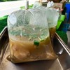 หัวปลาช่อนต้มยำ