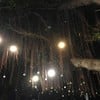 การตกแต่งร้านช่วงสิ้นปี