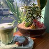 hot matcha latte