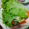 ฟรี