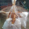 ธรรมดาไก่ ธรรมดาไก่