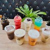 COFFEE TREE