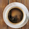 อเมริกาโน่ร้อน ใช้เมล็ดกาแฟที่ปลูกในปากช่องเอง รสชาติดีมาก เข้มแต่ไม่ขม หอมมาก