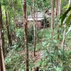 สภาพรอบๆ