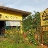 ร้านสวยปลูกผัก นั่งได้ บ่ายแก่ๆไม่ร้อน แต่ติดถนนมีรถผ่านไปมาบ้าง