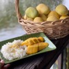 MENU_399881hW_1618036073