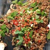 ลาบไก่ ลาบไก่