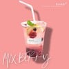 MIX BERRY - lemon - honey - soda