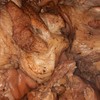 ขาหมูยกขา ขาหมูยกขา