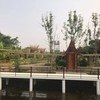 วิวด้านหลังร้านได้บรรยากาศกลางทุ่ง เสียดายที่ปิดได้แต่ยืนมองระยะไกล