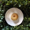 White Chocolate Macadamia Scone White Chocolate Macadamia Scone