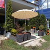 บางวันมีร่ม บางวันไม่มี