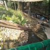ด้านล่างมีลำธารและชิงช้าให้นั่งเล่น หรือถ่ายรูป