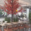 Restaurant Indoor