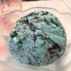 mint choc chip