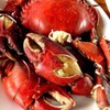 MENU_832261cu_1625740449